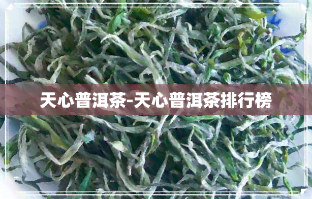 天心普洱茶-天心普洱茶排行榜