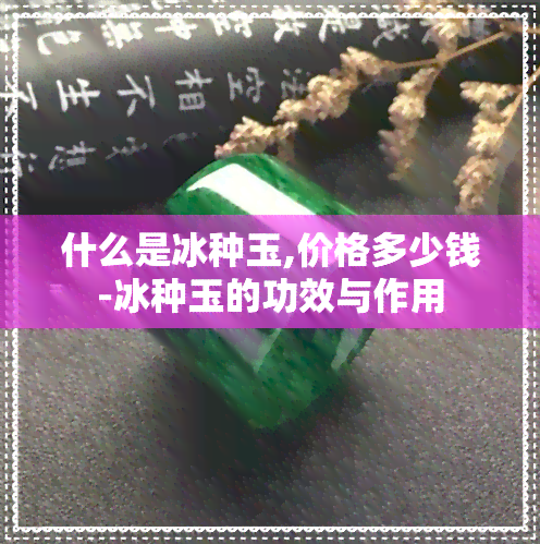 什么是冰种玉,价格多少钱-冰种玉的功效与作用