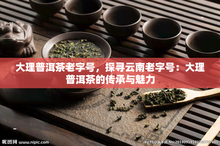 大理普洱茶老字号，探寻云南老字号：大理普洱茶的传承与魅力