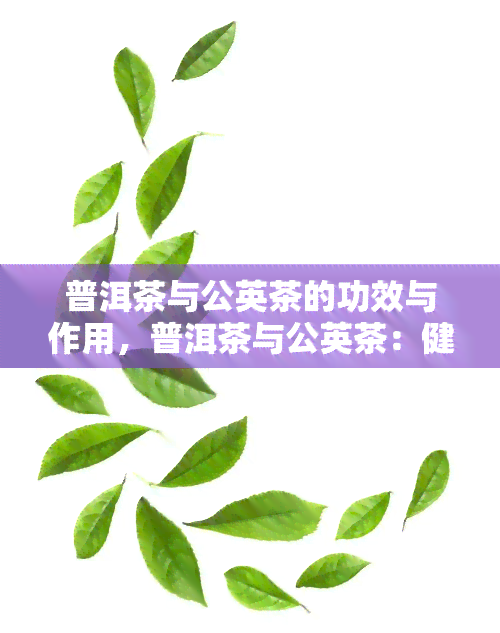 普洱茶与公英茶的功效与作用，普洱茶与公英茶：健饮品的双重功效与作用