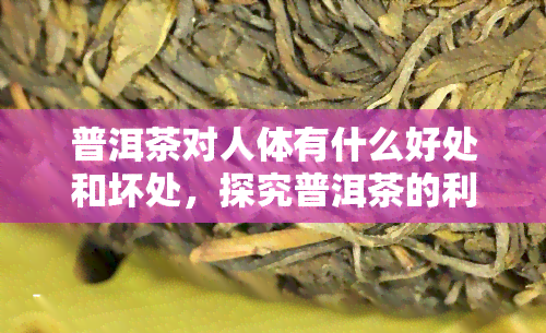 普洱茶对人体有什么好处和坏处，探究普洱茶的利弊：对人体有何影响？