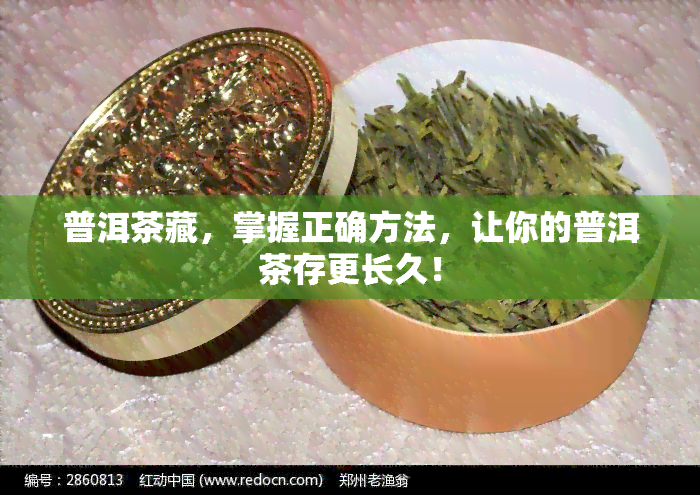 普洱茶藏，掌握正确方法，让你的普洱茶存更长久！