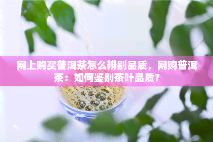 网上购买普洱茶怎么辨别品质，网购普洱茶：如何鉴别茶叶品质？