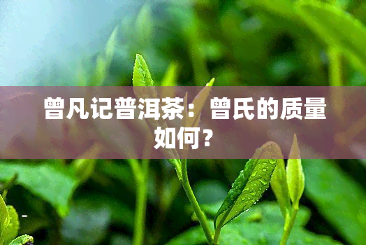 曾凡记普洱茶：曾氏的质量如何？