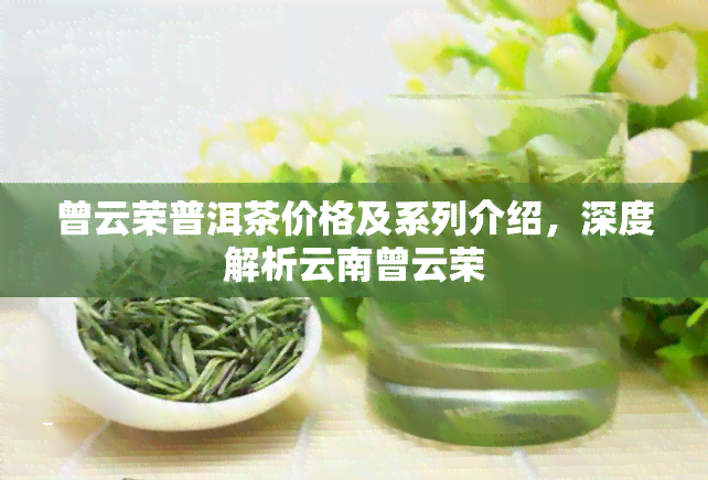 曾云荣普洱茶价格及系列介绍，深度解析云南曾云荣