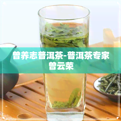 曾养志普洱茶-普洱茶专家曾云荣