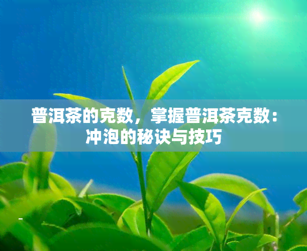 普洱茶的克数，掌握普洱茶克数：冲泡的秘诀与技巧