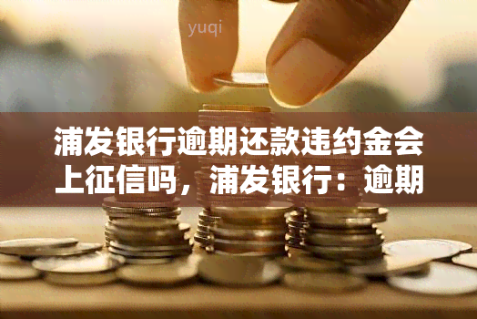 浦发银行逾期还款违约金会上吗，浦发银行：逾期还款是否会导致违约金上？