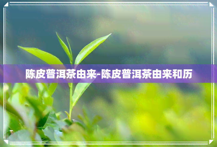 陈皮普洱茶由来-陈皮普洱茶由来和历