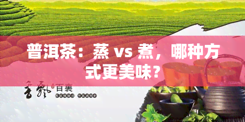 普洱茶：蒸 vs 煮，哪种方式更美味？