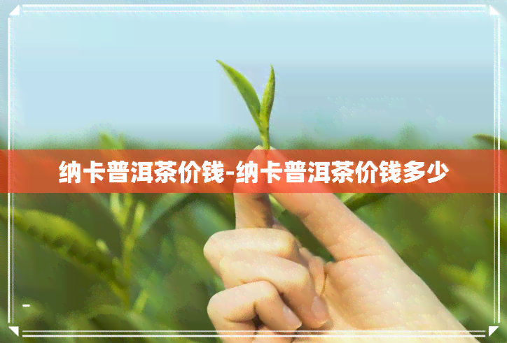 纳卡普洱茶价钱-纳卡普洱茶价钱多少