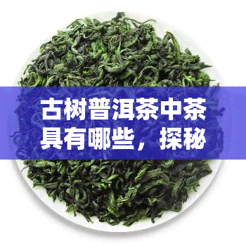 古树普洱茶中茶具有哪些，探秘古树普洱茶的独特魅力：中茶具的种类与作用