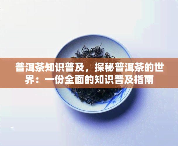 普洱茶知识普及，探秘普洱茶的世界：一份全面的知识普及指南