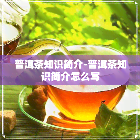 普洱茶知识简介-普洱茶知识简介怎么写