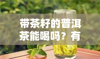 带茶籽的普洱茶能喝吗？有害吗？适合女性饮用吗？