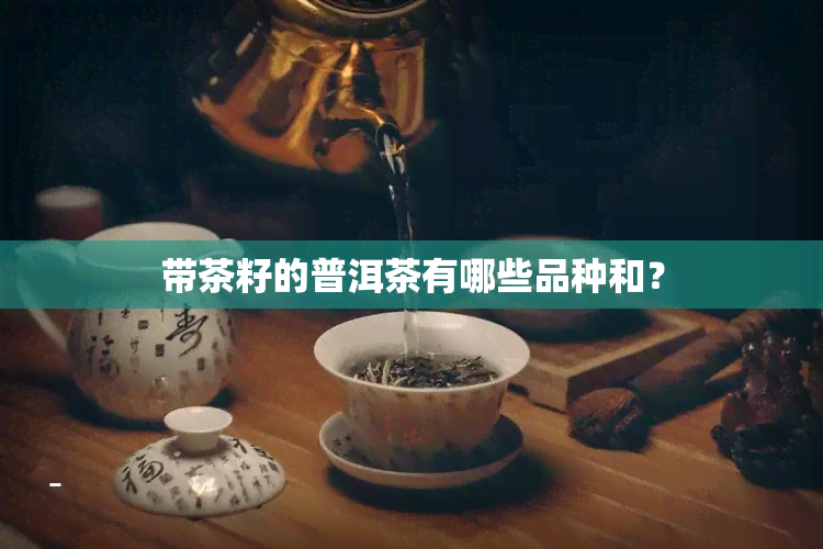 带茶籽的普洱茶有哪些品种和？