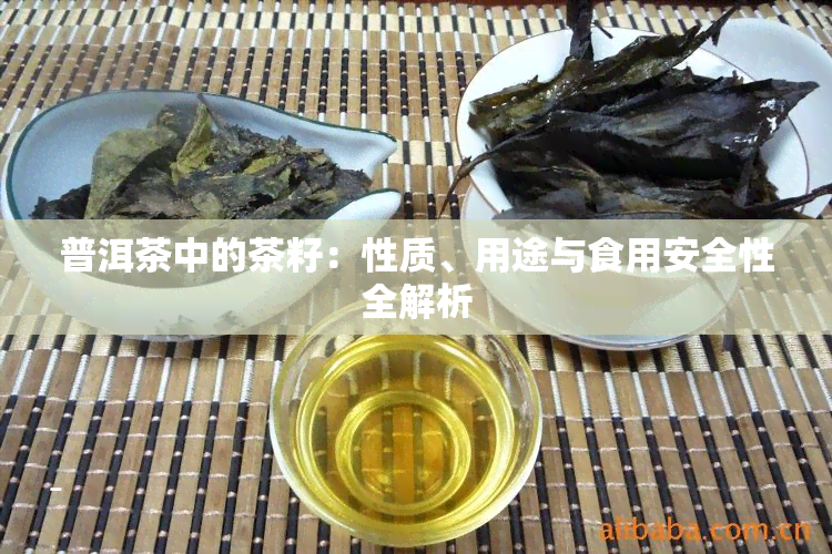 普洱茶中的茶籽：性质、用途与食用安全性全解析
