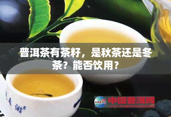 普洱茶有茶籽，是秋茶还是冬茶？能否饮用？