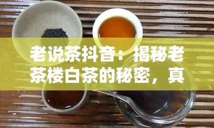 老说茶抖音：揭秘老茶楼白茶的秘密，真的有那么好吗？