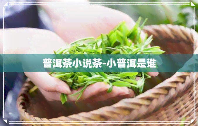 普洱茶小说茶-小普洱是谁