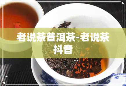 老说茶普洱茶-老说茶抖音