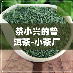 茶小兴的普洱茶-小茶厂的普洱茶收藏价值吗