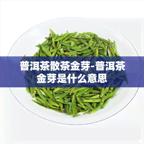 普洱茶散茶金芽-普洱茶金芽是什么意思