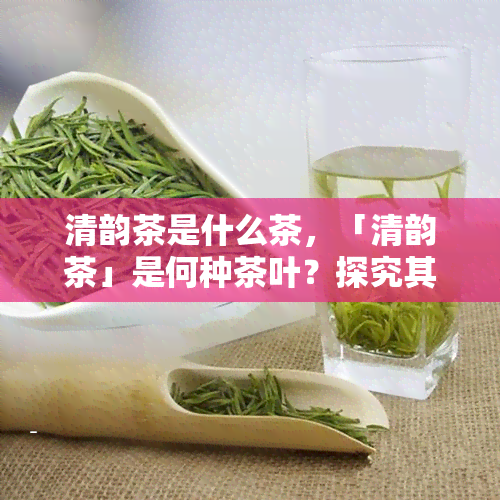 清韵茶是什么茶，「清韵茶」是何种茶叶？探究其品种与特点