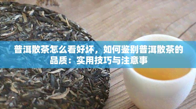 普洱散茶怎么看好坏，如何鉴别普洱散茶的品质：实用技巧与注意事