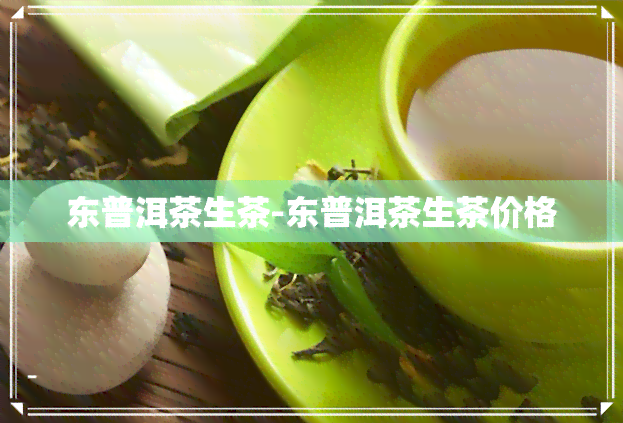 东普洱茶生茶-东普洱茶生茶价格