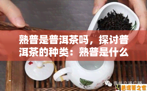 熟普是普洱茶吗，探讨普洱茶的种类：熟普是什么？