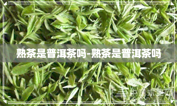 熟茶是普洱茶吗-熟茶是普洱茶吗