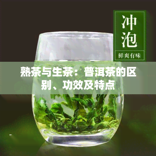 熟茶与生茶：普洱茶的区别、功效及特点