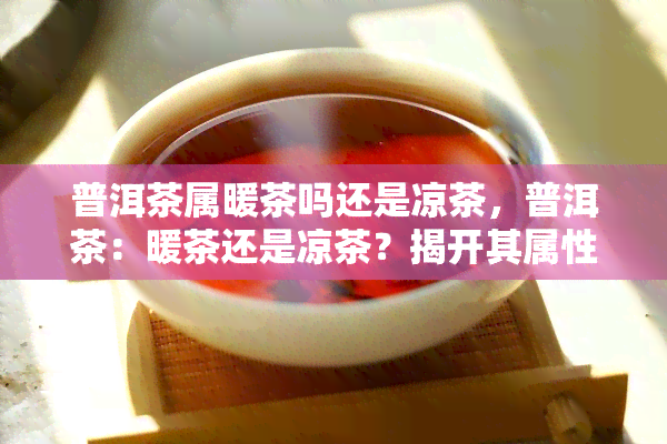 普洱茶属暖茶吗还是凉茶，普洱茶：暖茶还是凉茶？揭开其属性之谜