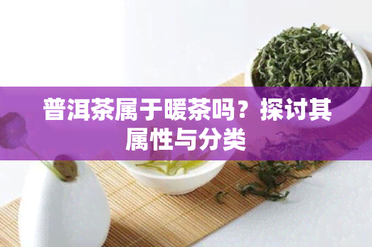 普洱茶属于暖茶吗？探讨其属性与分类