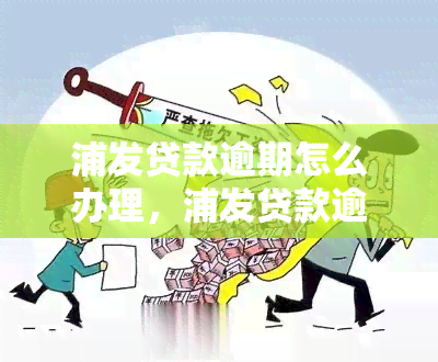 浦发贷款逾期怎么办理，浦发贷款逾期处理方法详解