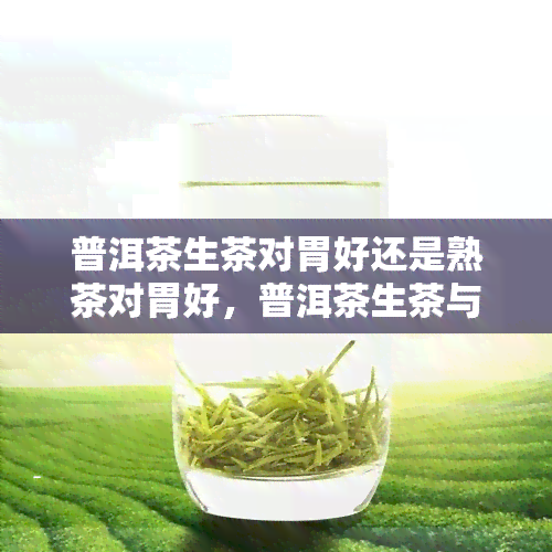 普洱茶生茶对胃好还是熟茶对胃好，普洱茶生茶与熟茶：哪种更适合你的胃？