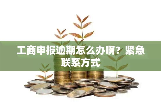 工商申报逾期怎么办啊？紧急联系方式