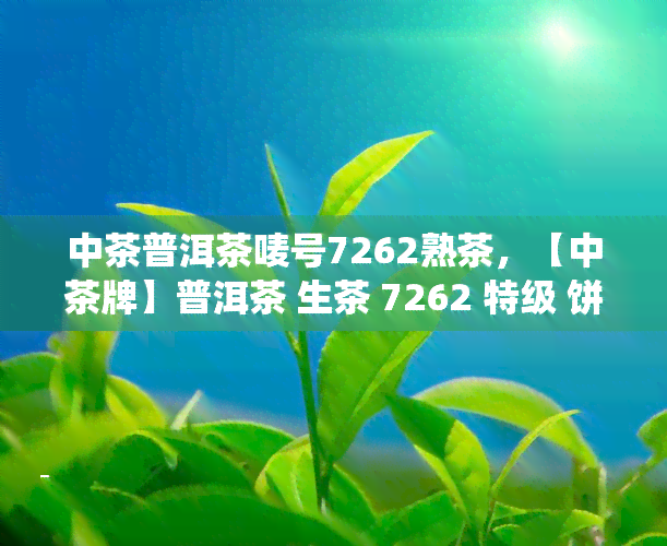 中茶普洱茶唛号7262熟茶，【中茶牌】普洱茶 生茶 7262 特级 饼茶叶 新茶 普洱生茶 散装 传统工艺 紫饼 正宗老班章 条索紧结 原生态 放置年份越久 茶味越醇厚 送礼佳品 中秋节礼物 爸爸妈妈实用礼品 云南特产 礼盒装 礼品茶 茶叶罐装