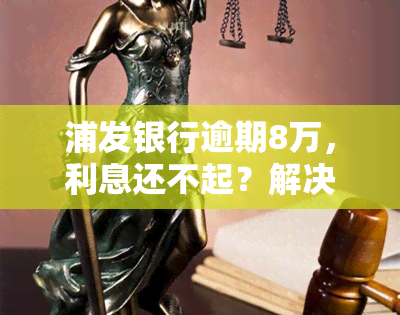 浦发银行逾期8万，利息还不起？解决方案在这里！