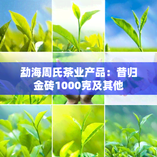 勐海周氏茶业产品：昔归金砖1000克及其他