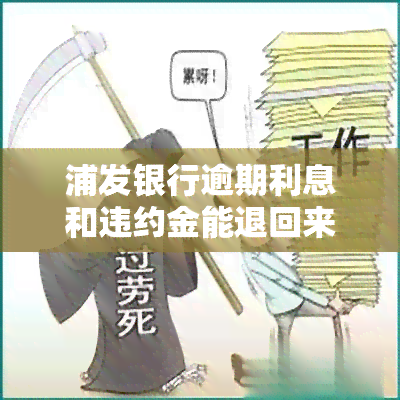 浦发银行逾期利息和违约金能退回来吗？了解相关风险与规定