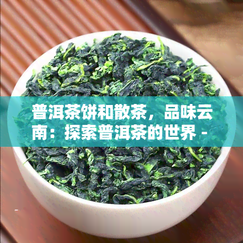 普洱茶饼和散茶，品味云南：探索普洱茶的世界 - 从茶饼到散茶的全方位解析