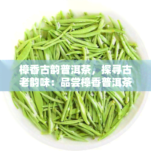 樟香古韵普洱茶，探寻古老韵味：品尝樟香普洱茶的魅力