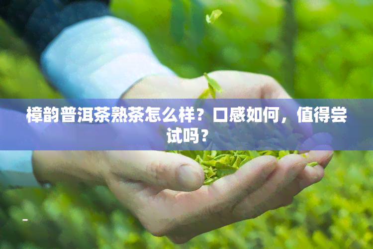 樟韵普洱茶熟茶怎么样？口感如何，值得尝试吗？