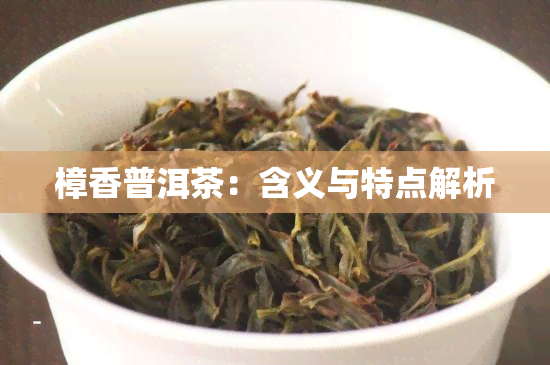 樟香普洱茶：含义与特点解析