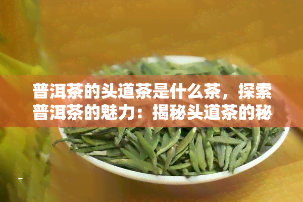 普洱茶的头道茶是什么茶，探索普洱茶的魅力：揭秘头道茶的秘密