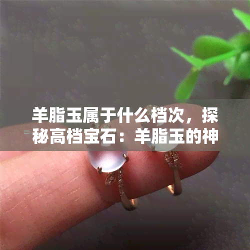 羊脂玉属于什么档次，探秘高档宝石：羊脂玉的神秘面纱