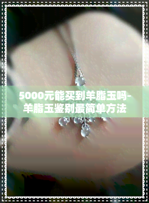 5000元能买到羊脂玉吗-羊脂玉鉴别最简单方法