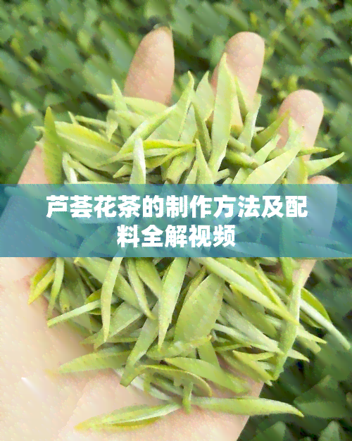 芦荟花茶的制作方法及配料全解视频